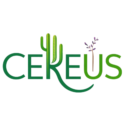 Cereus