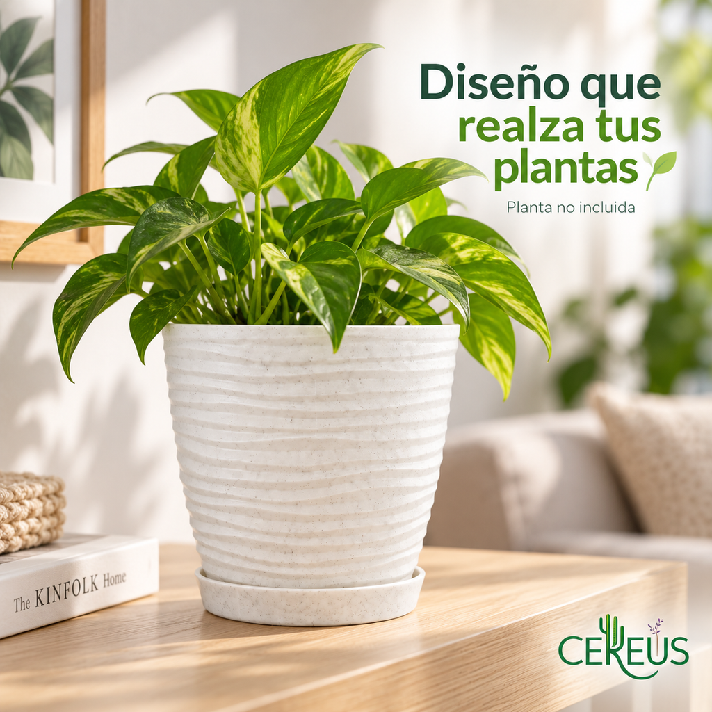 Macetero Blanco Texturizado con Plato – 15 x 14 cm
