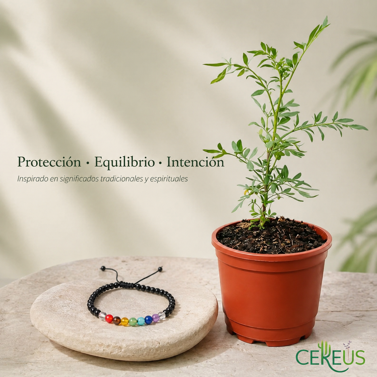 Kit Ruda + Pulsera 7 Chakras – Armonía y Protección Simbólica
