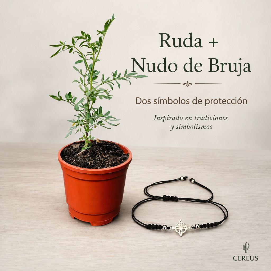 Kit Ruda + Pulsera Nudo de Bruja – Protección e Intención