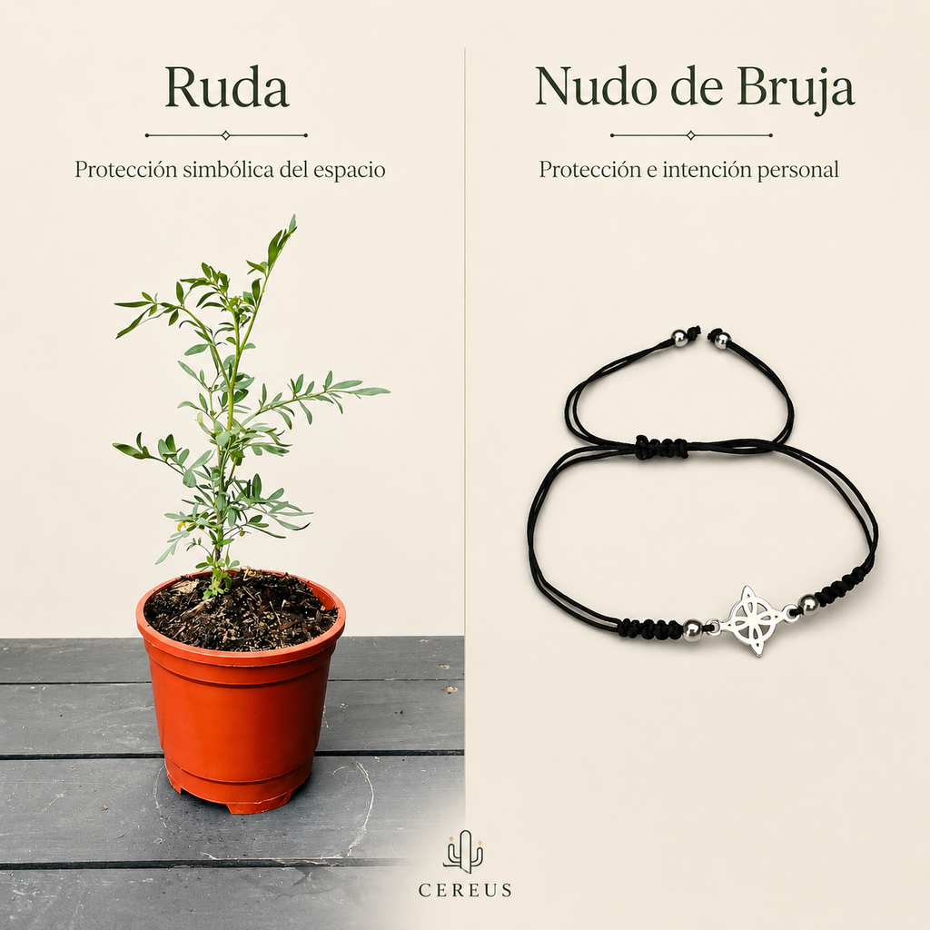 Kit Ruda + Pulsera Nudo de Bruja – Protección e Intención