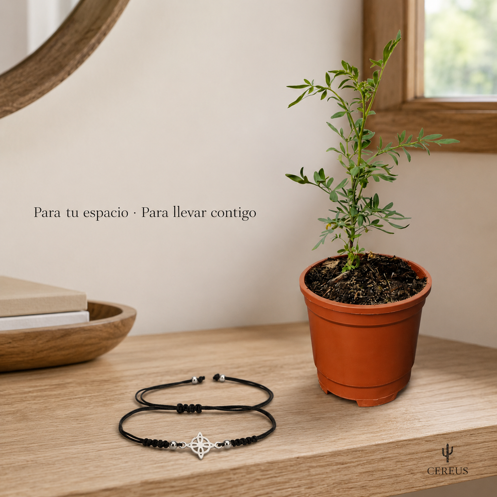 Kit Ruda + Pulsera Nudo de Bruja – Protección e Intención