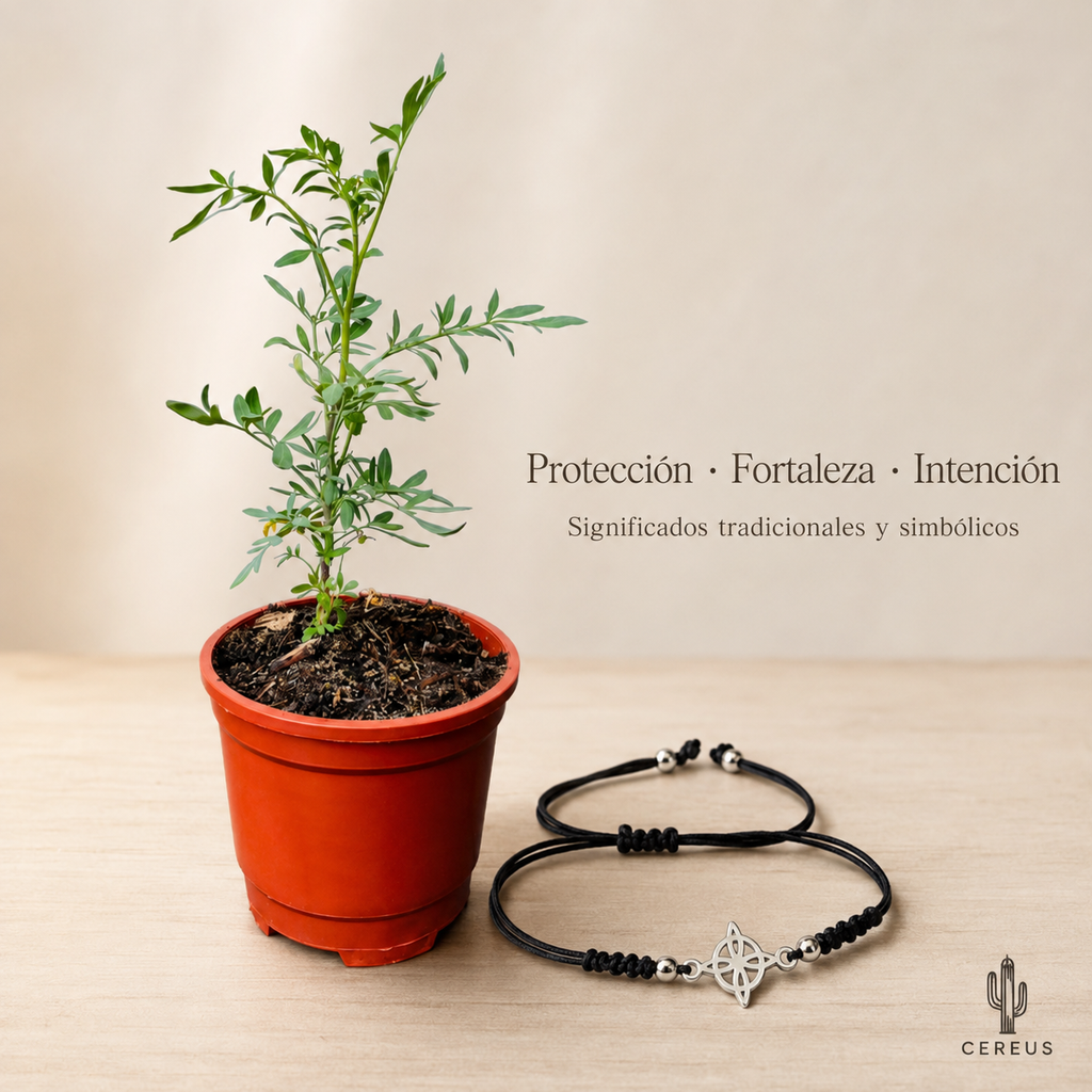 Kit Ruda + Pulsera Nudo de Bruja – Protección e Intención