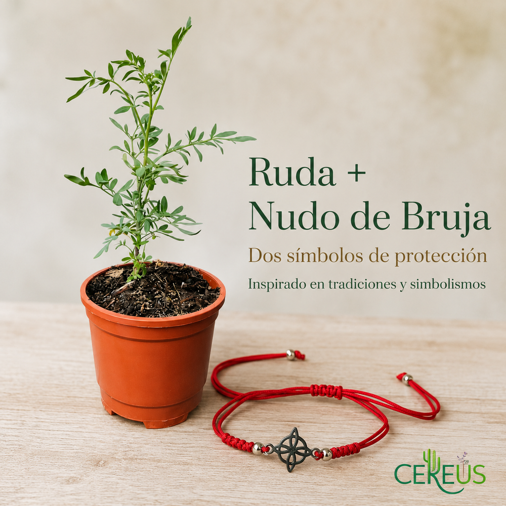 Kit Ruda + Pulsera Roja Nudo de Bruja – Protección e Intención