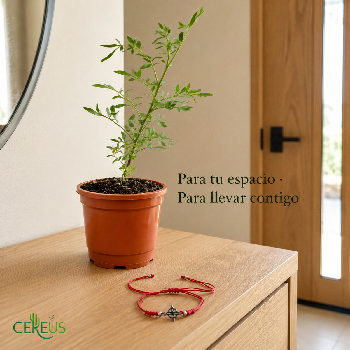 Kit Ruda + Pulsera Roja Nudo de Bruja – Protección e Intención