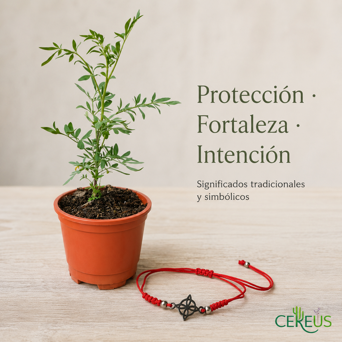 Kit Ruda + Pulsera Roja Nudo de Bruja – Protección e Intención