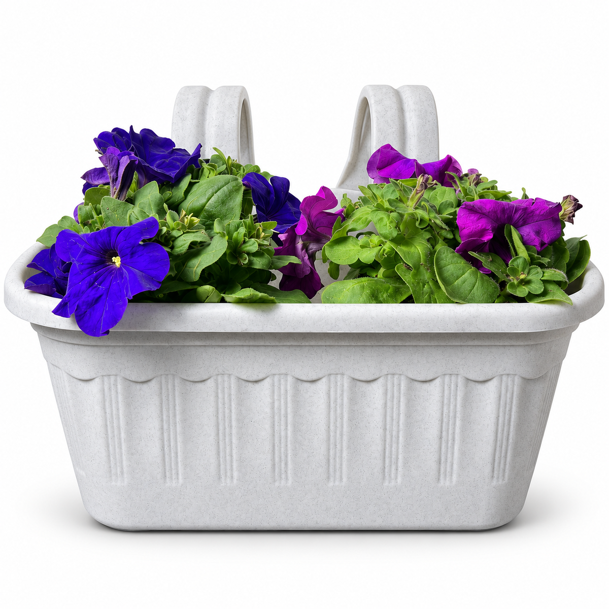 Jardinera con 2 Petunias Azul Violeta y Morada
