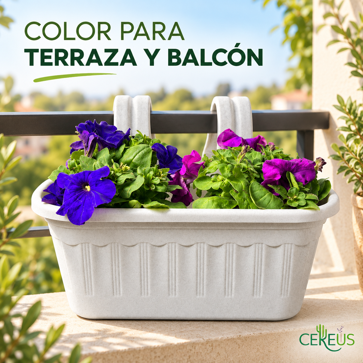 Jardinera con 2 Petunias Azul Violeta y Morada