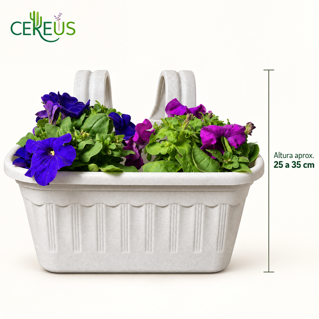 Jardinera con 2 Petunias Azul Violeta y Morada