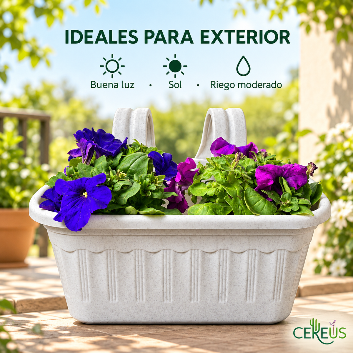 Jardinera con 2 Petunias Azul Violeta y Morada