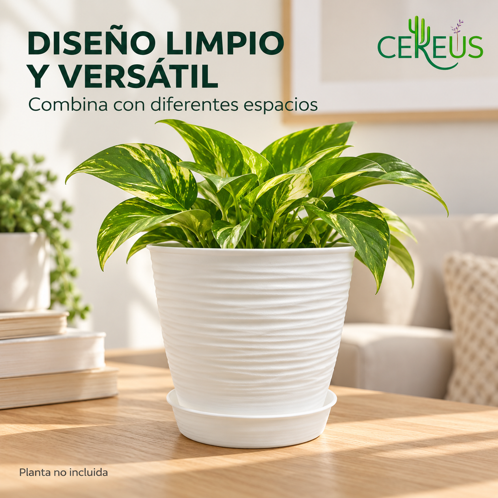 Macetero Blanco Texturizado con Plato 17 cm