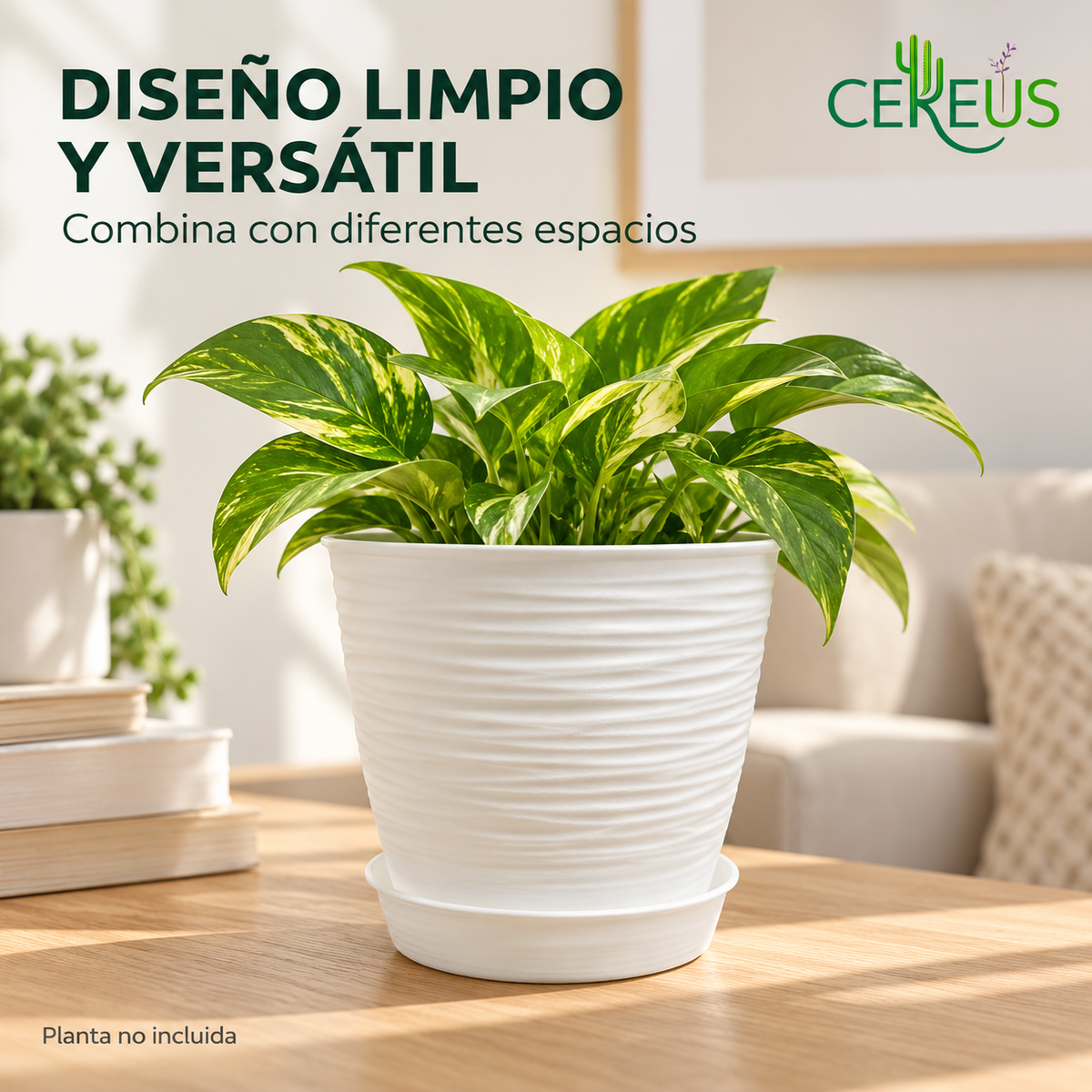 Macetero Blanco Texturizado con Plato 17 cm