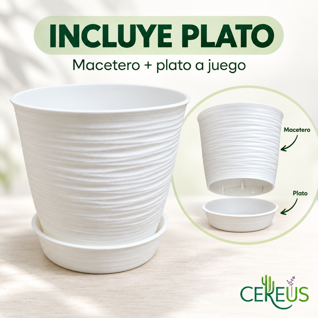 Macetero Blanco Texturizado con Plato 17 cm