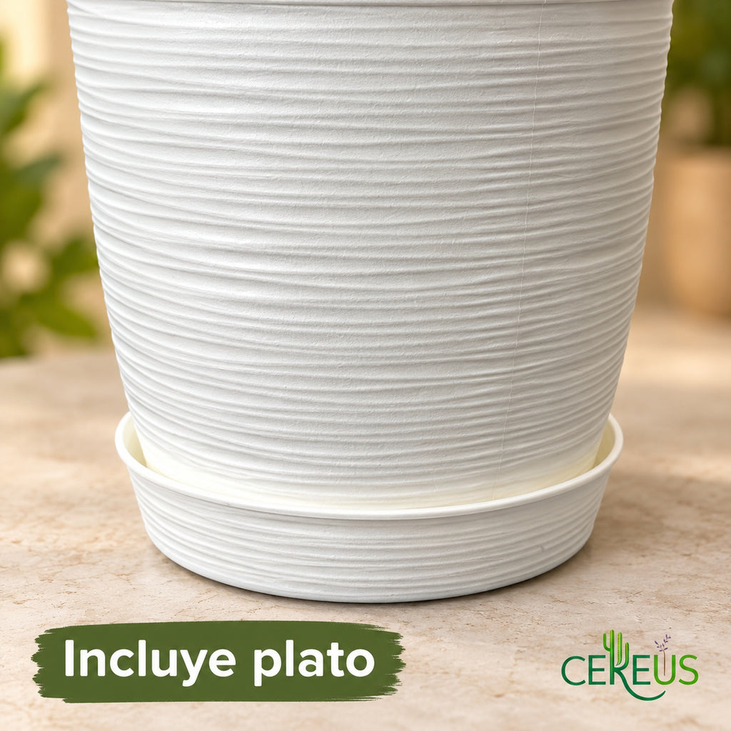 Macetero blanco texturizado con plato · 24 × 24 cm