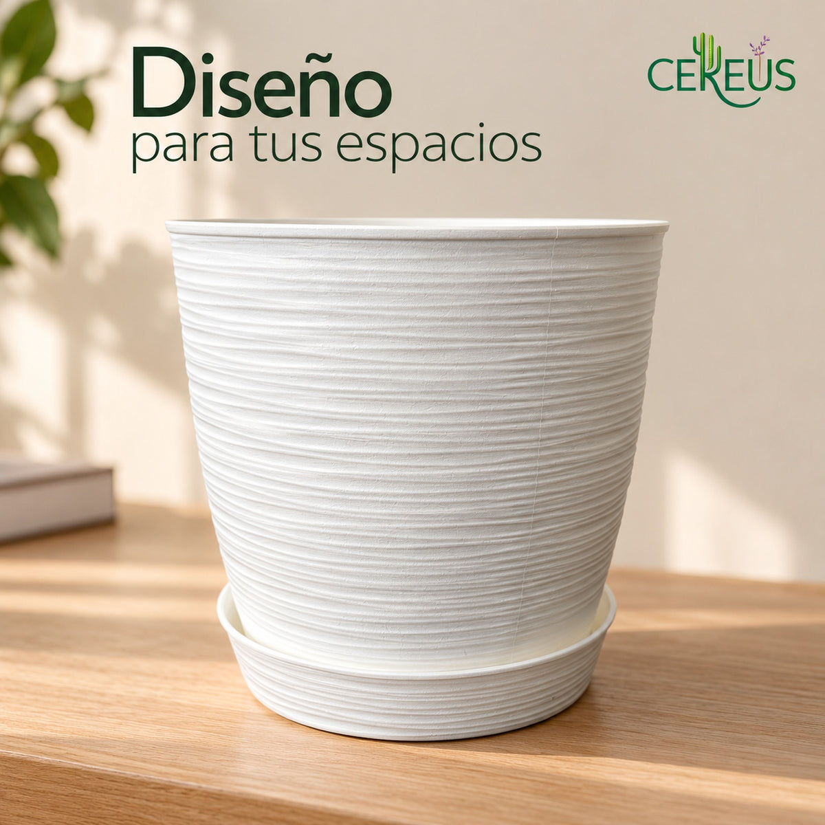 Macetero blanco texturizado con plato · 24 × 24 cm