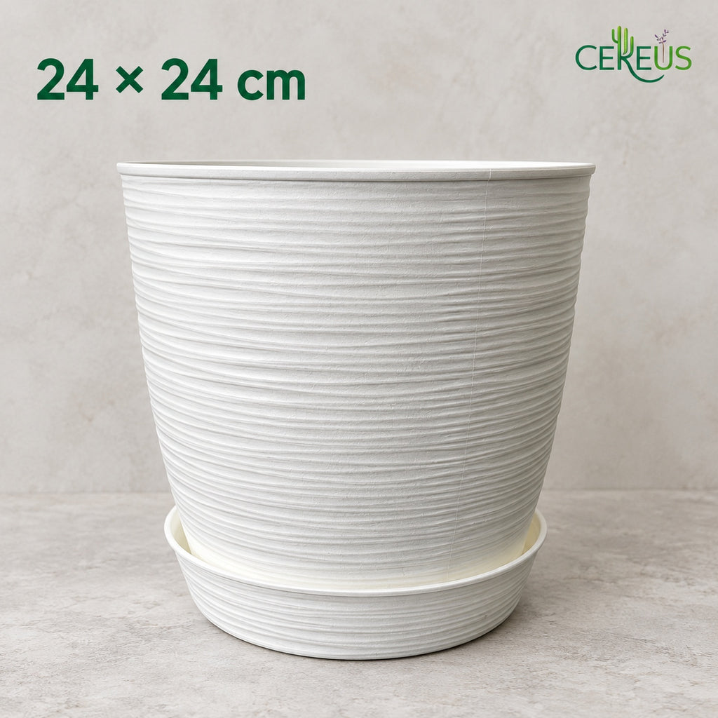 Macetero blanco texturizado con plato · 24 × 24 cm