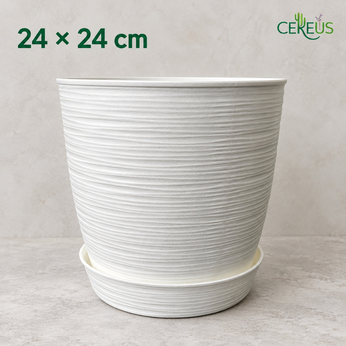 Macetero blanco texturizado con plato · 24 × 24 cm
