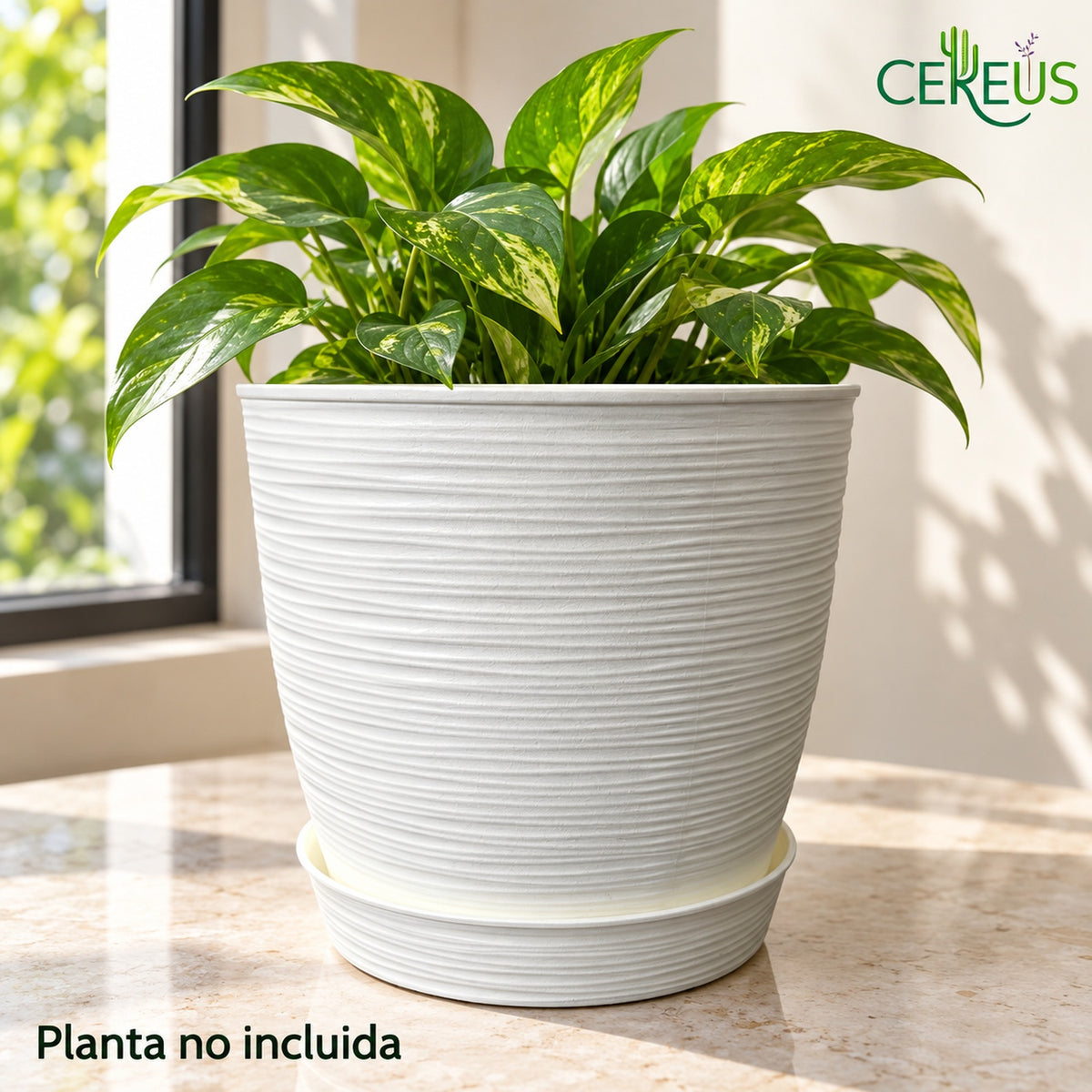 Macetero blanco texturizado con plato · 24 × 24 cm