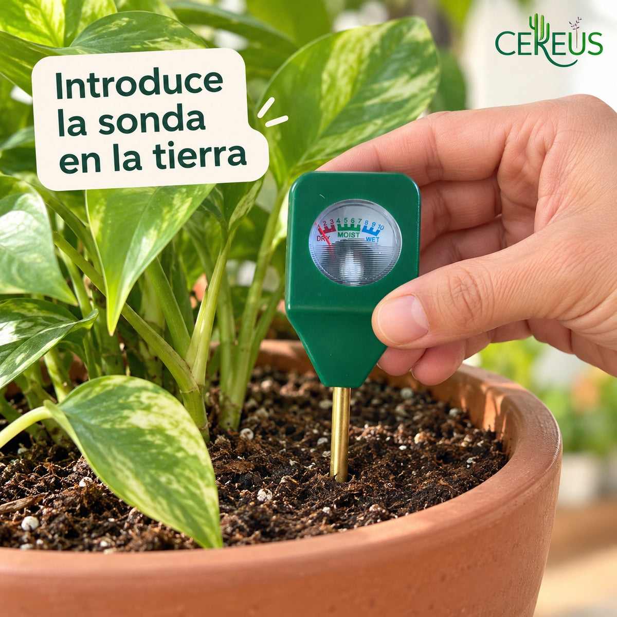 Medidor de humedad para plantas y maceteros con aguja