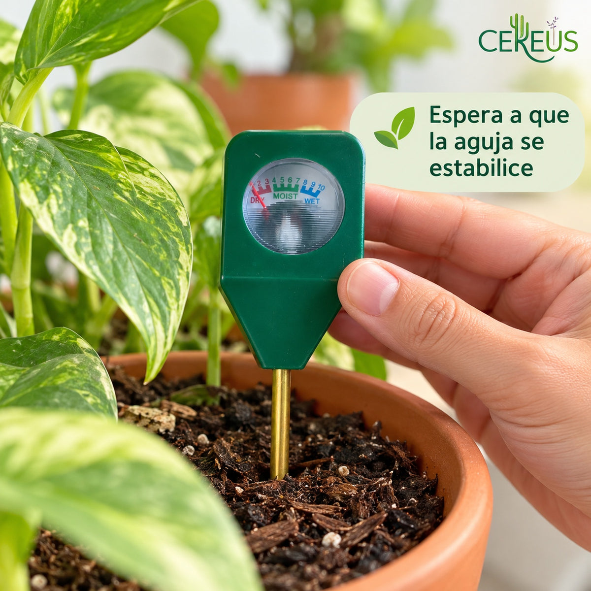 Medidor de humedad para plantas y maceteros con aguja