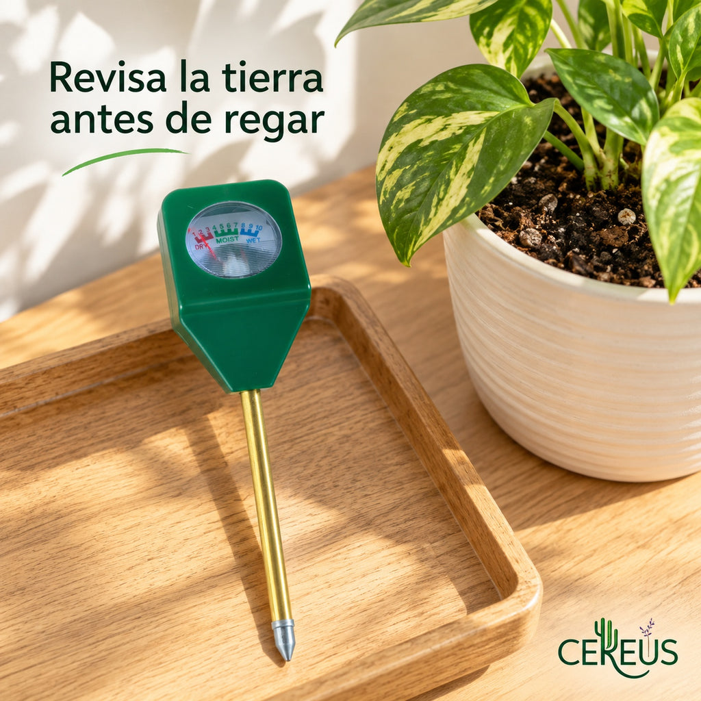 Medidor de humedad para plantas y maceteros con aguja