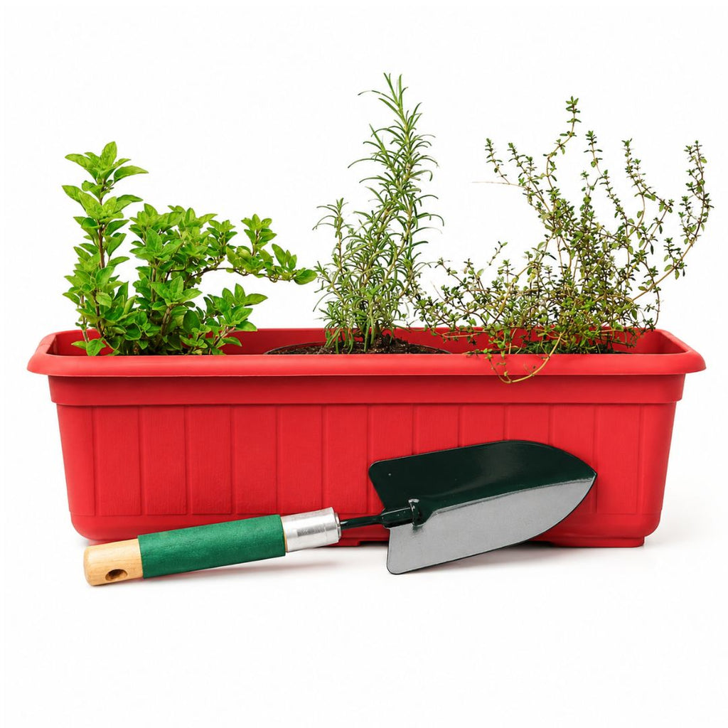 Jardinera de Aromáticas con Pala: Romero, Tomillo y Orégano