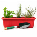 Jardinera de Aromáticas con Pala: Romero, Tomillo y Orégano