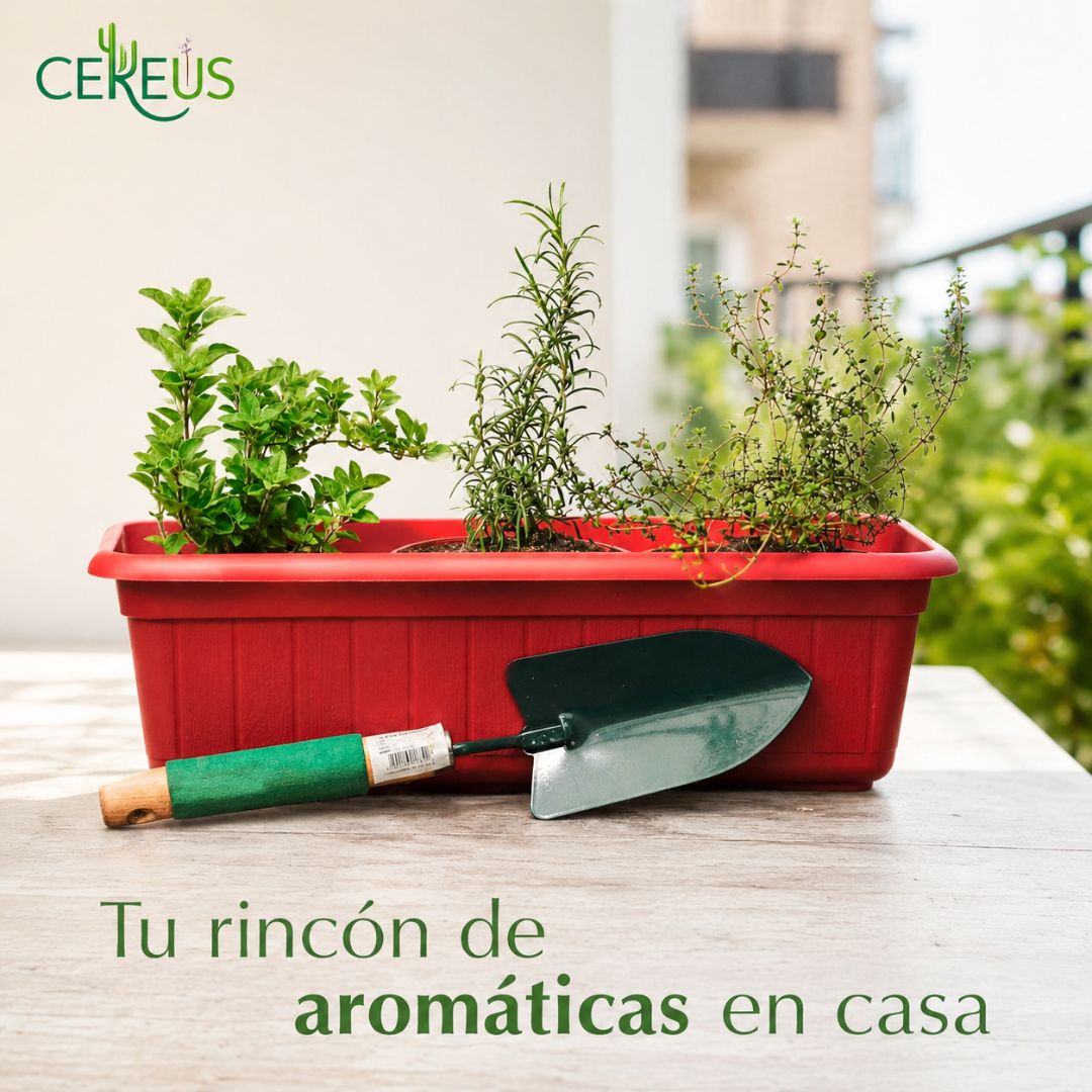 Jardinera de Aromáticas con Pala: Romero, Tomillo y Orégano