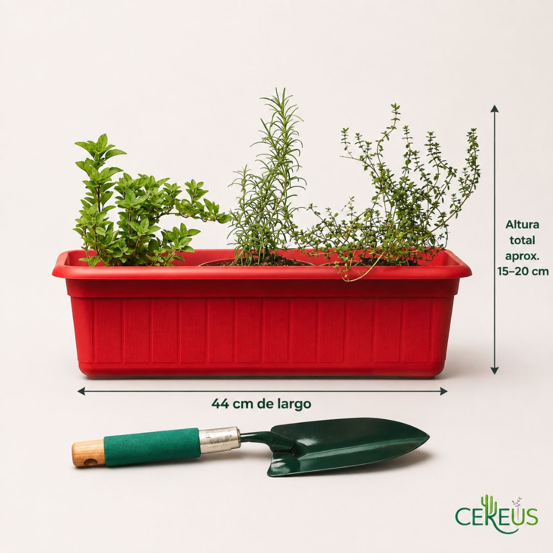 Jardinera de Aromáticas con Pala: Romero, Tomillo y Orégano