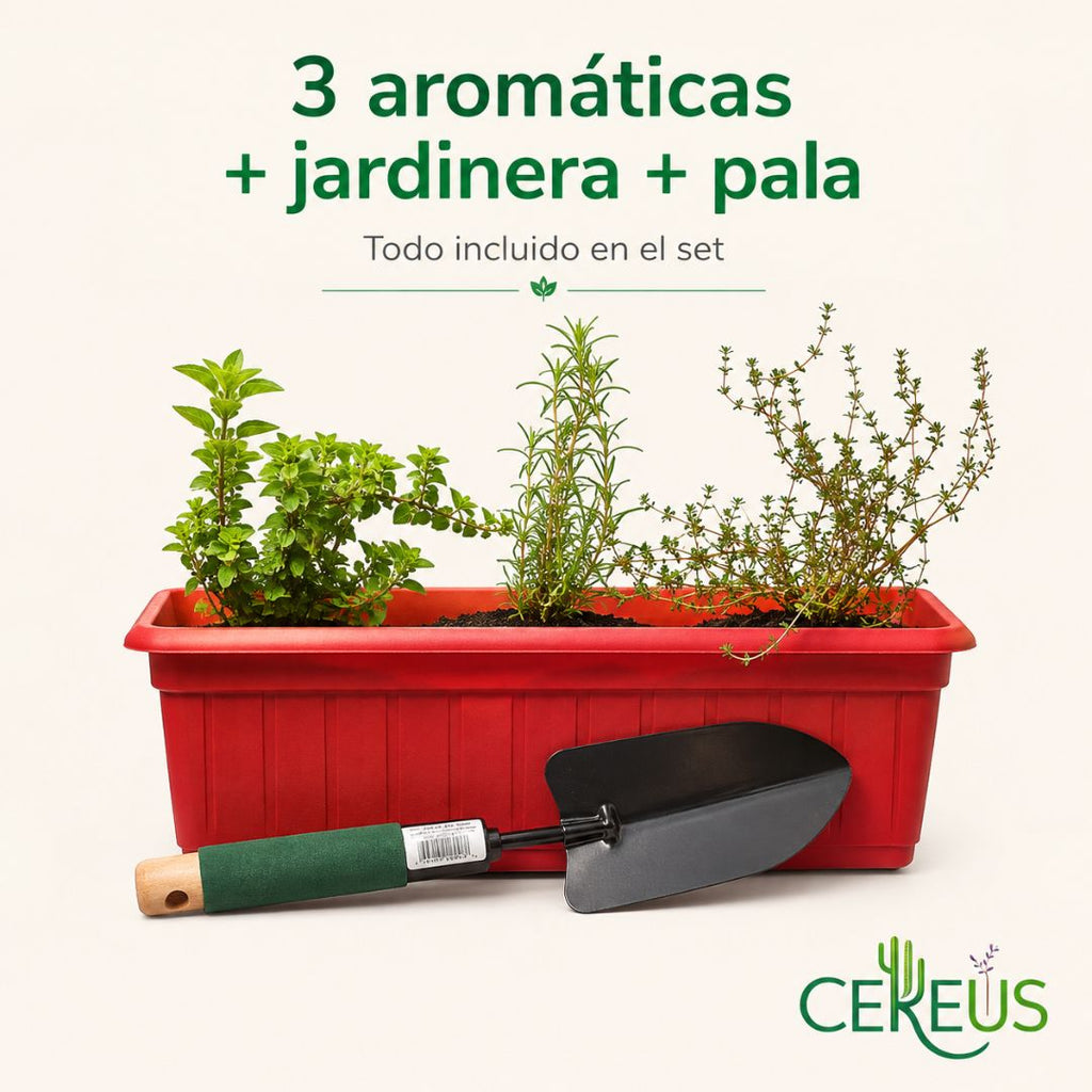 Jardinera de Aromáticas con Pala: Romero, Tomillo y Orégano